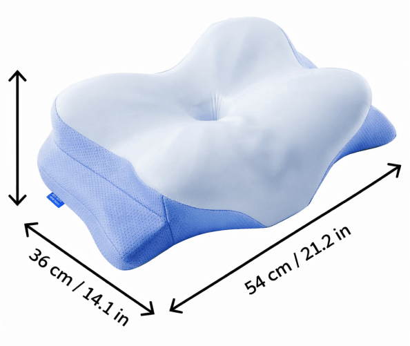 Perfect Size for Comfortable Support