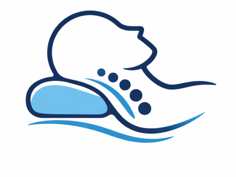 Derila Ergo pillow Ergonomics design icon showing neck and spine support